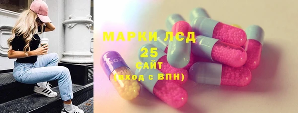 Альфа ПВП Аркадак