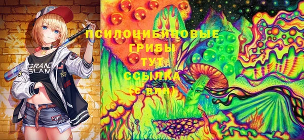 mix Арсеньев