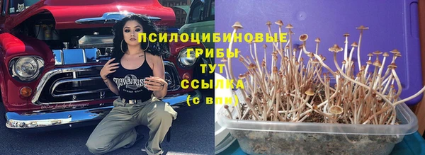 каннабис Алексеевка
