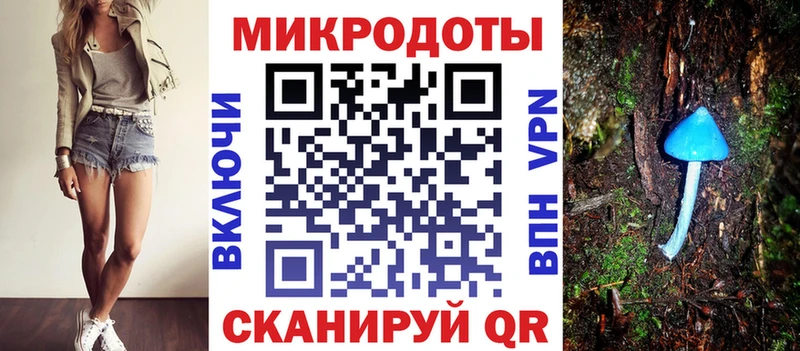 Псилоцибиновые грибы Psilocybe  мега tor  Мураши 